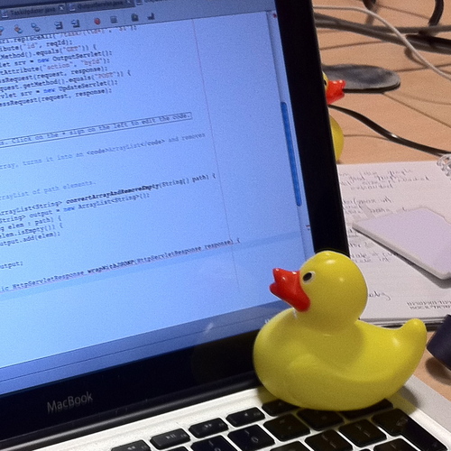 rubber duck debugging