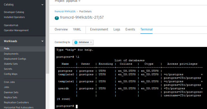 crunchdydata operatorhub install16