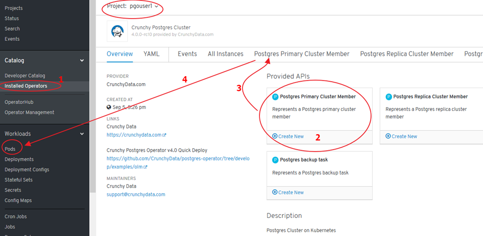 crunchdydata operatorhub install2